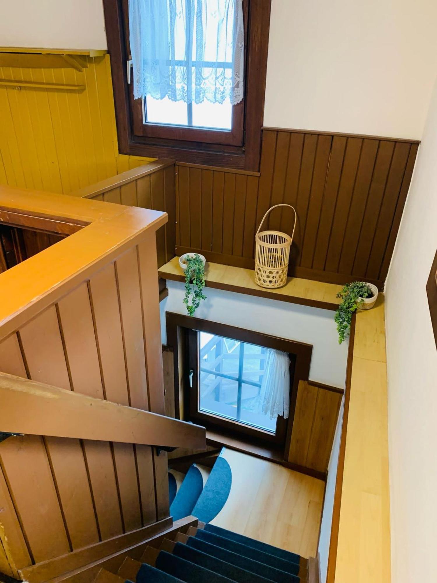 Hotel Zum Urviech -Erwachsenenhotel- (Adults Only) Ehrwald Dış mekan fotoğraf